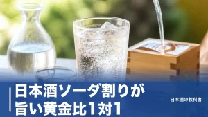 日本酒ソーダ割りが旨い黄金比1対1｜合うのは原酒、大吟醸がNGな理由も解説のアイキャッチ画像