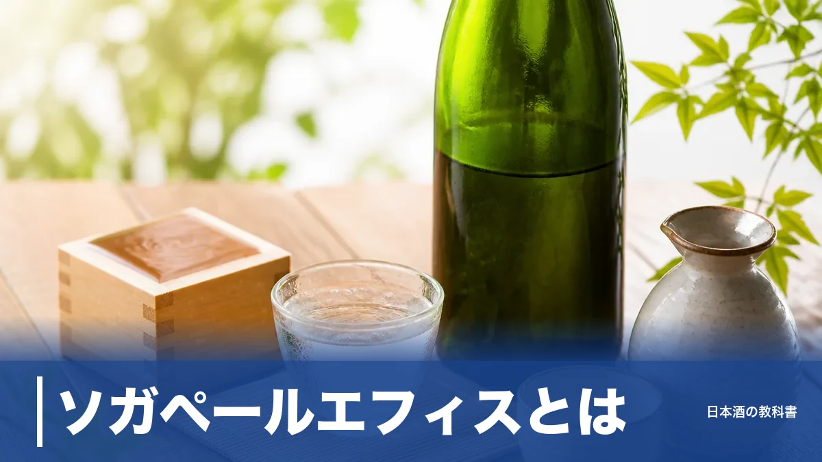 ソガペールエフィスとは？ワイン蔵が冬に仕込む幻の日本酒と入手方法まで解説のアイキャッチ画像