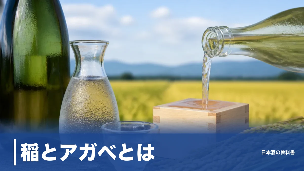 稲とアガベとは？精米歩合90%で磨かない秋田のクラフトサケを7つの視点で解説のアイキャッチ画像