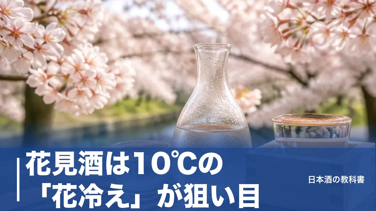 花見酒は10℃の「花冷え」が狙い目｜屋外で香りを守る持ち方と桜に合う日本酒5本のアイキャッチ画像